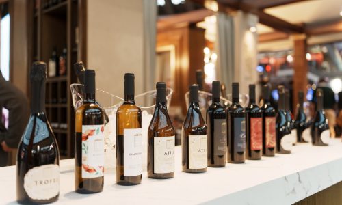 Wine Vision Sapat (7)